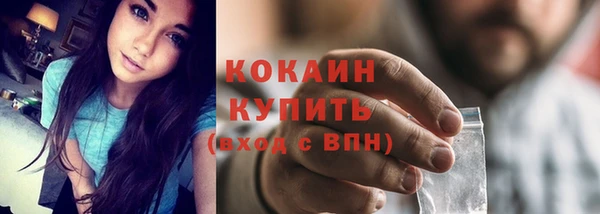 прущие грибы Балабаново