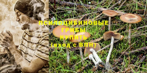гашик Баксан