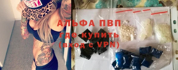 прущие грибы Балабаново