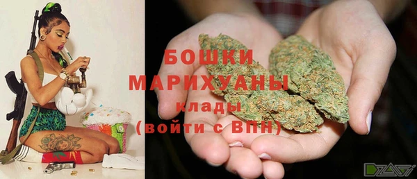 прущие грибы Балабаново