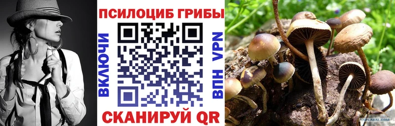 hydra как войти  маркетплейс состав  Галлюциногенные грибы GOLDEN TEACHER  Гурьевск 